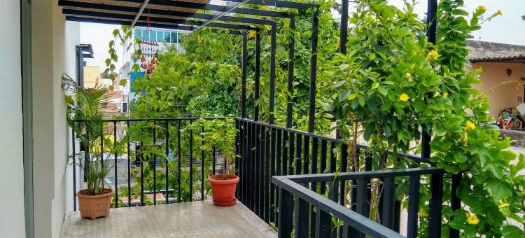 Avea Accommodation图片