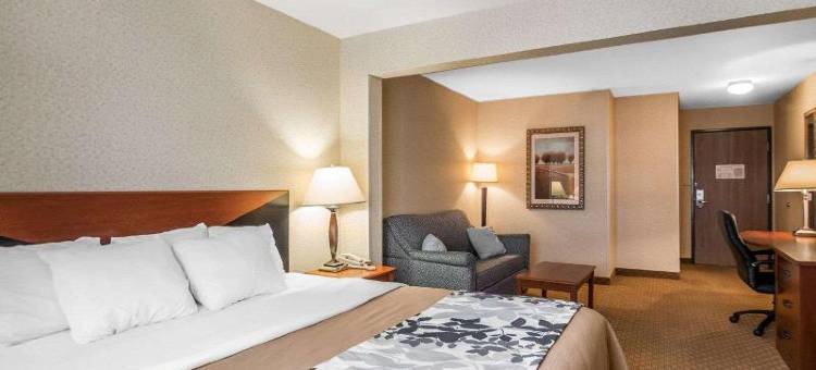 罗德威套房旅馆(Rodeway Inn & Suites)图片