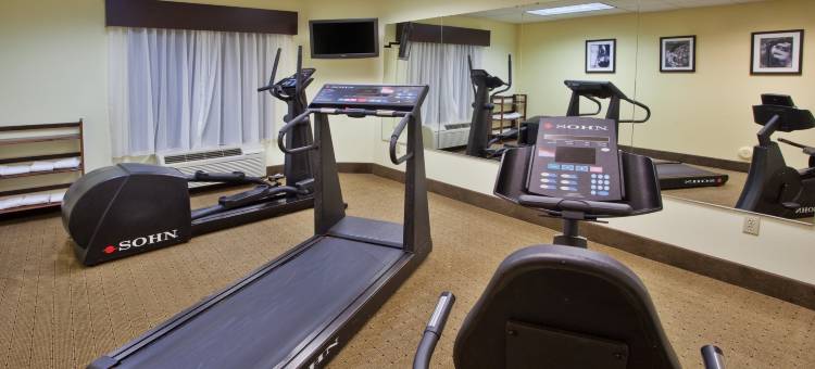 Holiday Inn Express 埃佩克斯-州罗利(Holiday Inn Express Apex-Raleigh)图片