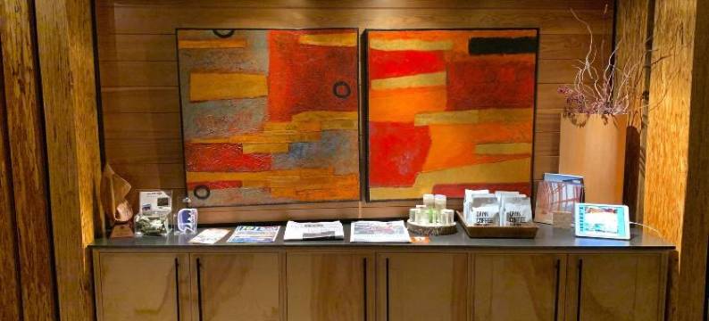 Truckee-Tahoe的引力房子(Gravity Haus Truckee)图片