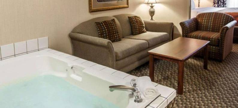 舒适套房酒店(Comfort Suites)图片