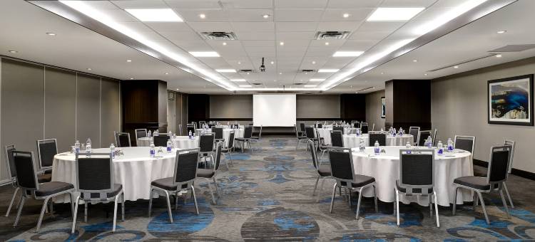 尼亚加拉瀑布/瀑景希尔顿安泊酒店(Embassy Suites by Hilton Niagara Falls/ Fallsview)图片