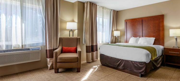 舒适酒店(Comfort Inn)图片