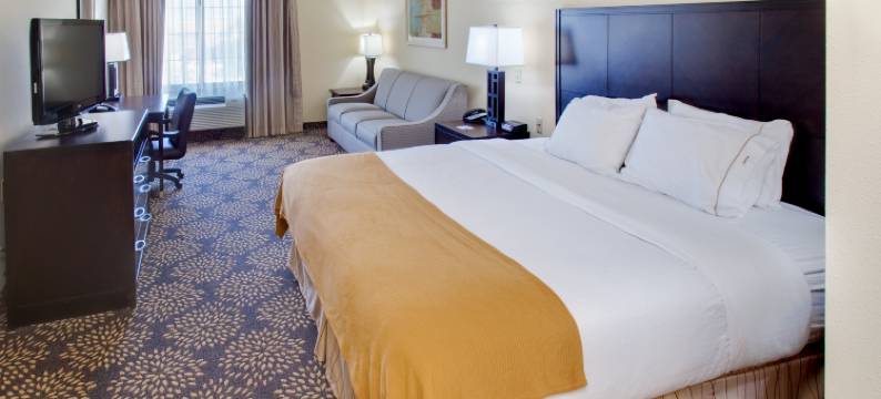 智选假日套房酒店格兰德艾兰(Holiday Inn Express & Suites GRAND ISLAND by IHG)图片