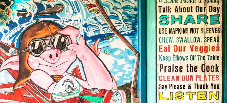 The Flying Pig Beach Hostel图片