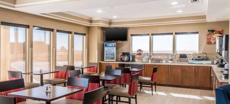 I-10东舒适酒店-近AT&T中心(Comfort Inn Near Frost Bank Center)图片