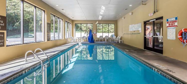 舒适套房酒店(Comfort Inn & Suites)图片