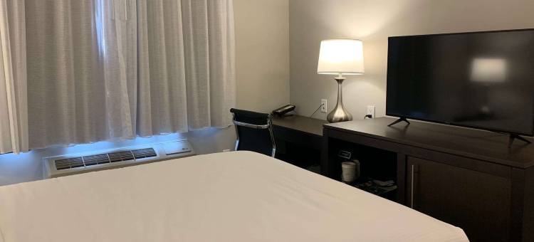 法尔罗克威约翰肯尼迪国际机场蔚景温德姆酒店(Wingate by Wyndham JFK Airport / Far Rockaway)图片