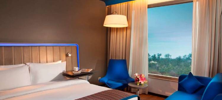 比拉斯布尔丽柏酒店(Park Inn by Radisson Gurgaon Bilaspur)图片