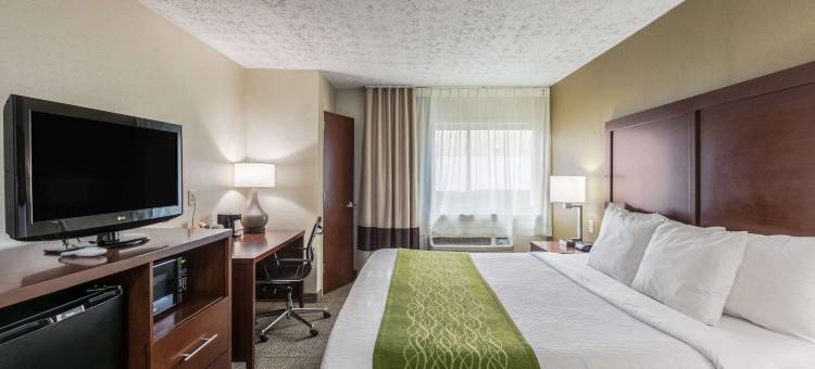 梅德福长岛舒适酒店(Comfort Inn Medford-Long Island)图片