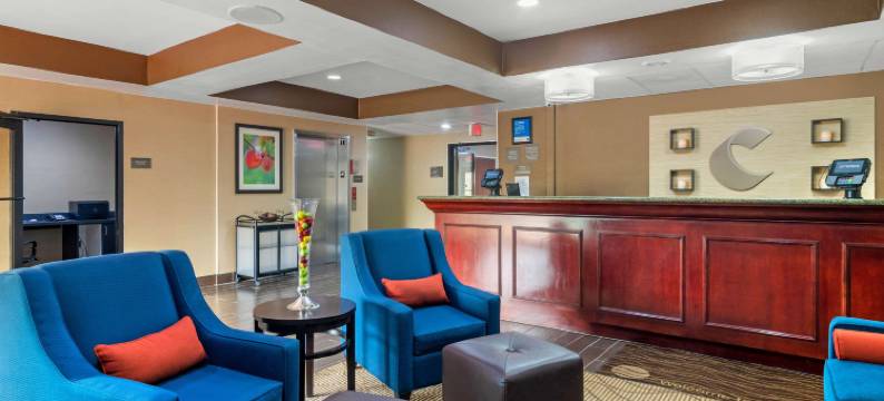 舒适套房酒店(Comfort Inn & Suites)图片