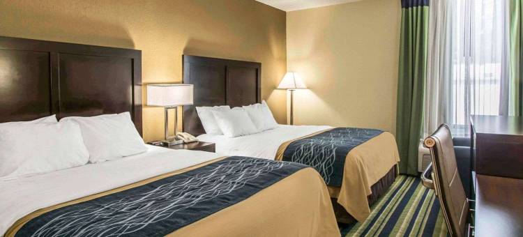 兰坦纳西棕榈滩舒适套房酒店(Comfort Inn & Suites Lantana - West Palm Beach South)图片