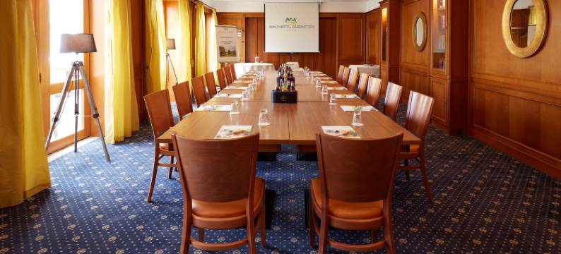 瓦尔德酒店熊石(Waldhotel Bärenstein)图片