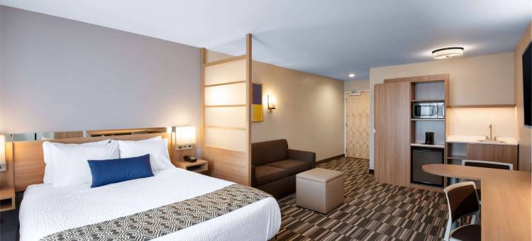 Microtel Inn & Suites by Wyndham Farmington图片