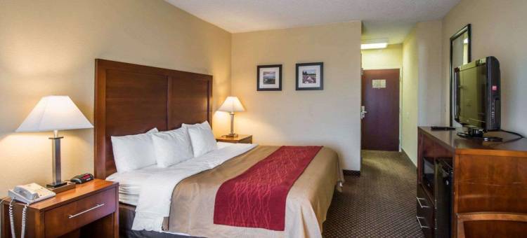 摩根顿舒适套房酒店(Comfort Inn & Suites)图片