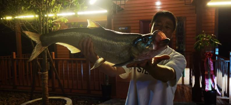 芜湖泊口河民宿图片