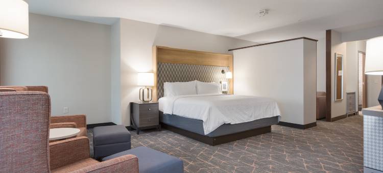 Holiday Inn 杰克逊净重 - 机场路(Holiday Inn Jackson NW - Airport Road)图片