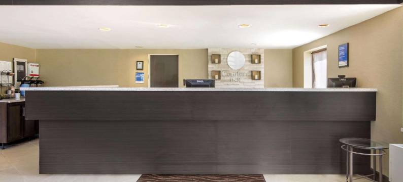 舒适酒店湖滨店(Comfort Inn Lakeshore)图片