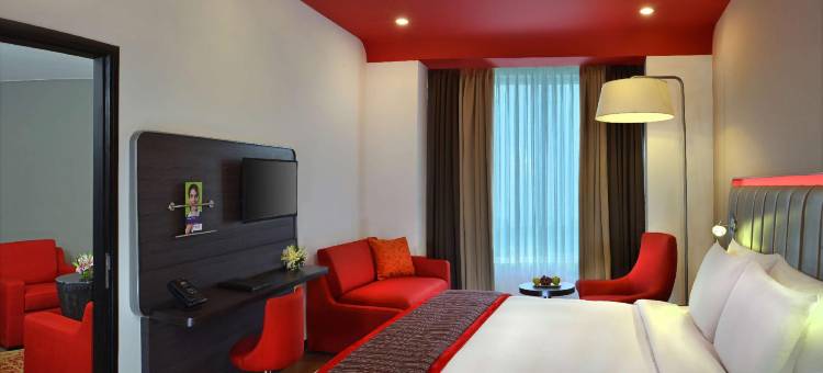 阿姆利则机场丽柏酒店(Park Inn by Radisson Amritsar Airport)图片