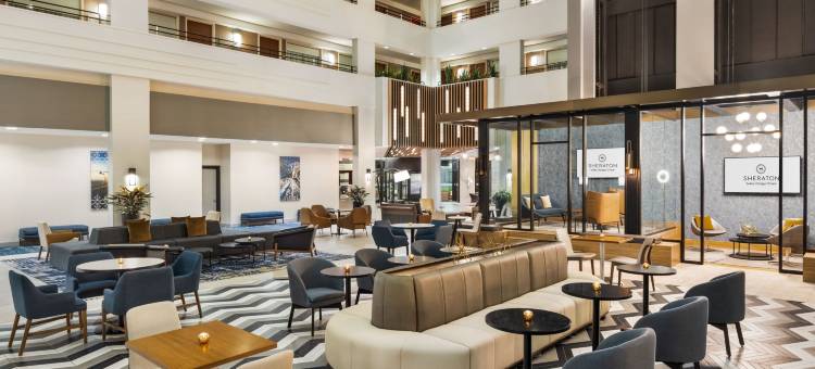 芝加哥奥黑尔喜来登套房酒店(Sheraton Suites Chicago O'Hare)图片