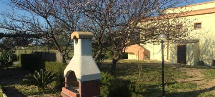 Ginepro Family图片