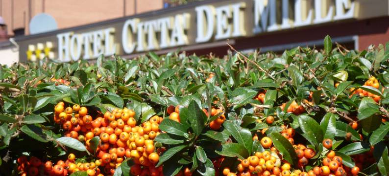 齐塔德米雷酒店(Hotel Città Dei Mille)图片