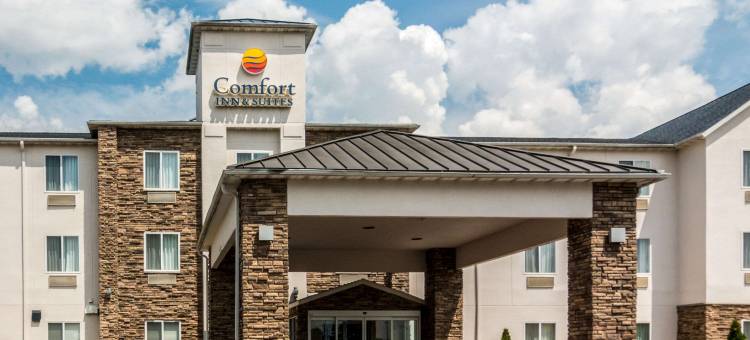 汉尼拔舒适套房酒店(Comfort Inn & Suites - Hannibal)图片