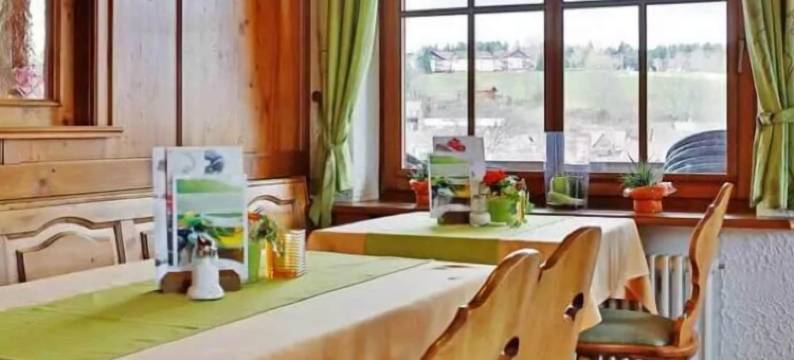 塔布里克康体酒店(Wellness-Hotel Talblick)图片