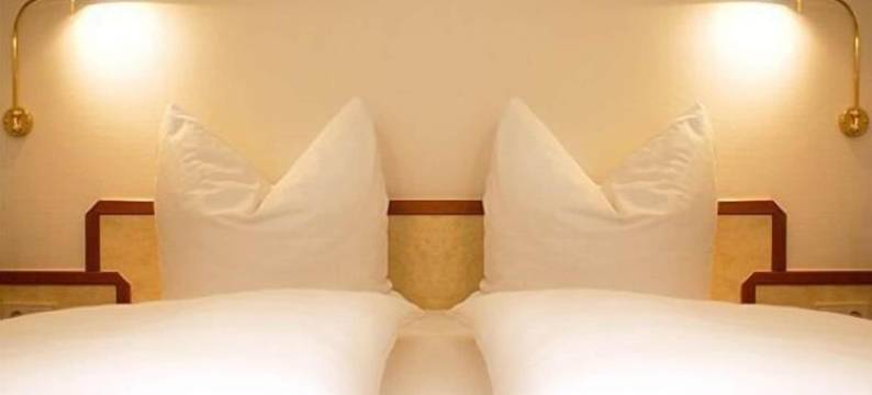 斯塔德巴林根酒店(Hotel Stadt Balingen)图片