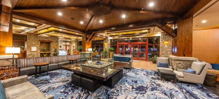 万豪乡村别墅酒店(Marriott's Timber Lodge)图片