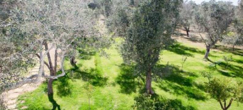 梅达里民宿(B&B Medali)图片