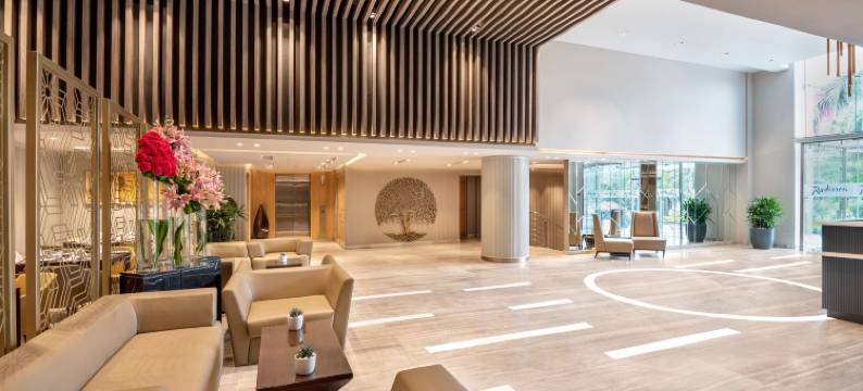 古尔冈29区丽怡酒店及套房(Radisson Hotel Sector 29 Gurugram)图片