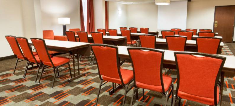 圣路易斯机场德鲁里套房酒店(Drury Inn & Suites St. Louis Airport)图片