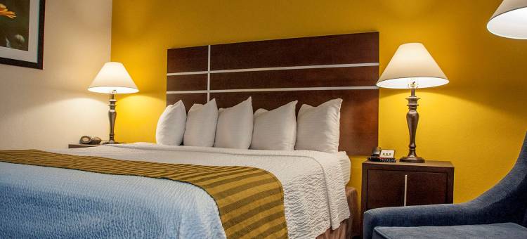 弗雷斯诺乡村贝斯特韦斯特酒店(Best Western Village Inn)图片