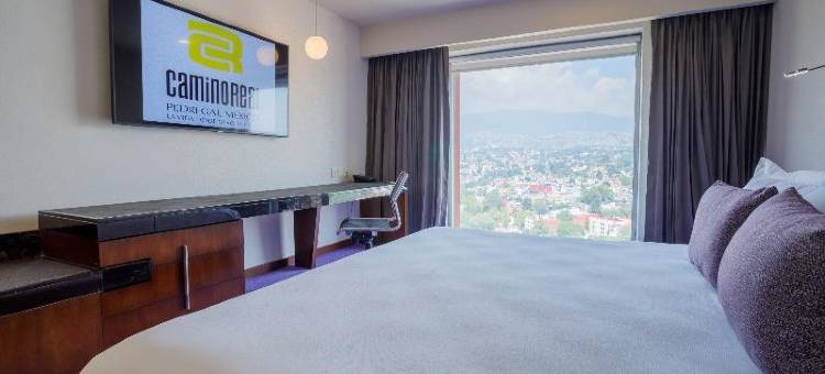 佩德雷加尔卡米诺里尔酒店(Camino Real Pedregal Mexico)图片
