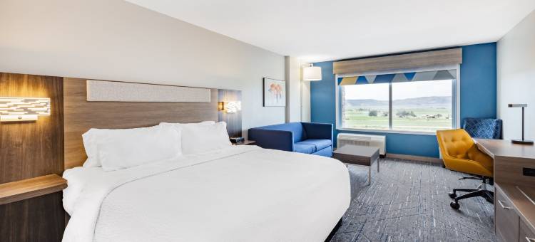 尼法智选假日套房酒店(Holiday Inn Express & Suites NEPHI by IHG)图片
