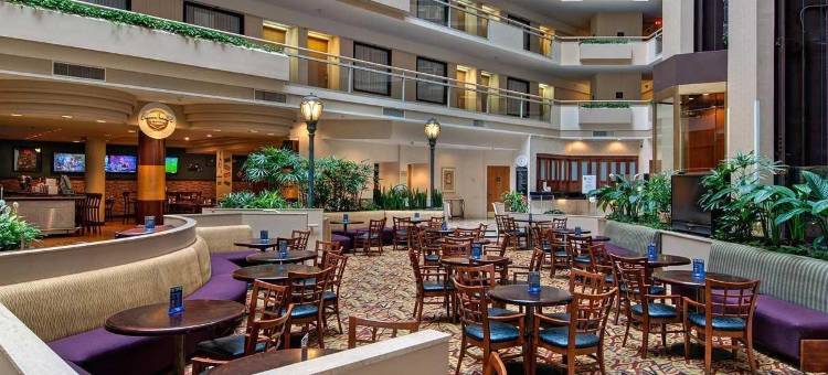 亚特兰大加勒里亚希尔顿安泊酒店(Embassy Suites by Hilton Atlanta Galleria)图片