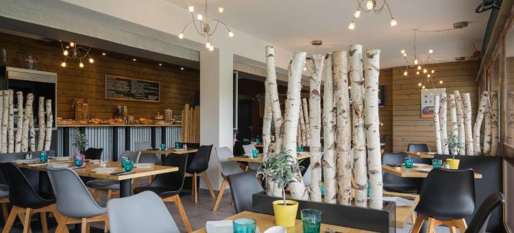 里昂南克里斯城际酒店(Logis Cris Hôtel et Restaurant, Lyon Sud-Est)图片