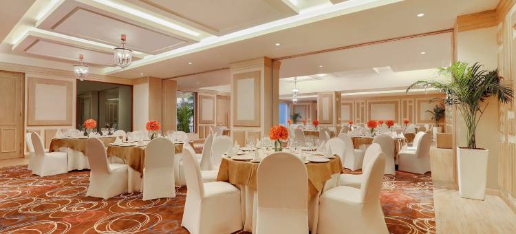 德里机场柠檬树酒店(Lemon Tree Premier, Delhi Airport)图片