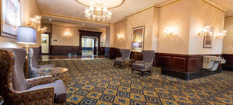 圣路易斯拱门德鲁里广场酒店(Drury Plaza St. Louis at the Arch)图片