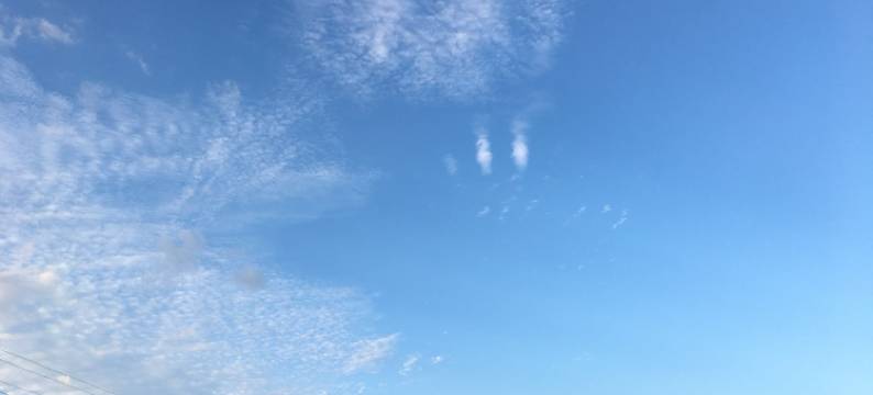 萤火之森公寓(滨河路分店)图片