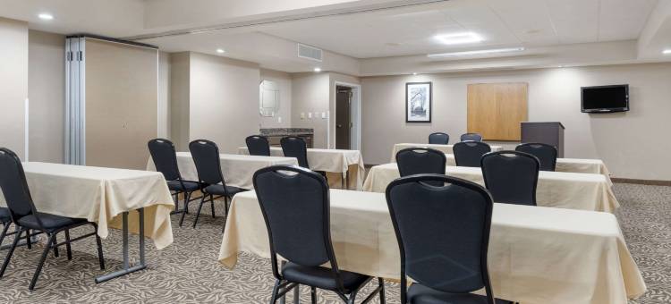 舒适酒店及套房(Comfort Inn & Suites)图片