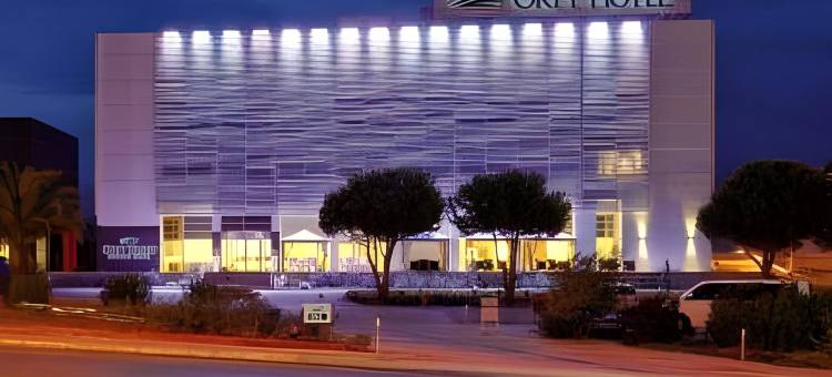 奥梯机场酒店(Orty Airport Hotel)图片