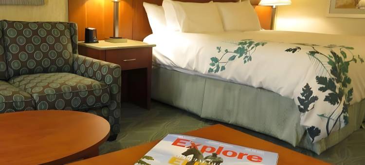 埃尔金斯蔚景温德姆酒店(Wingate by Wyndham Elkins)图片