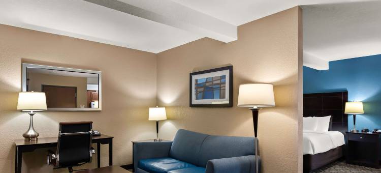 斯普林菲尔德I-55舒适套房酒店(Comfort Inn & Suites Springfield I-55)图片