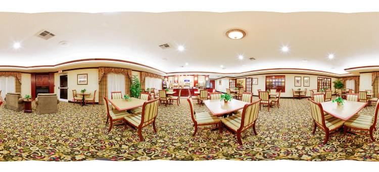 智选假日套房酒店盖恩斯维尔(Holiday Inn Express & Suites GAINESVILLE by IHG)图片