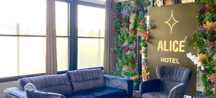 阿丽斯酒店安塔利亚(Alice Hotel Antalya)图片