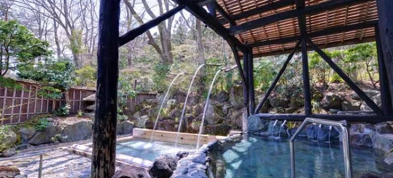 幸乃汤温泉(Sachinoyu Onsen)图片