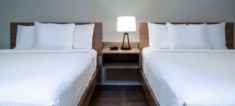 温德姆麦迪逊ECHO套房延住酒店(Echo Suites Extended Stay by Wyndham Madison)图片