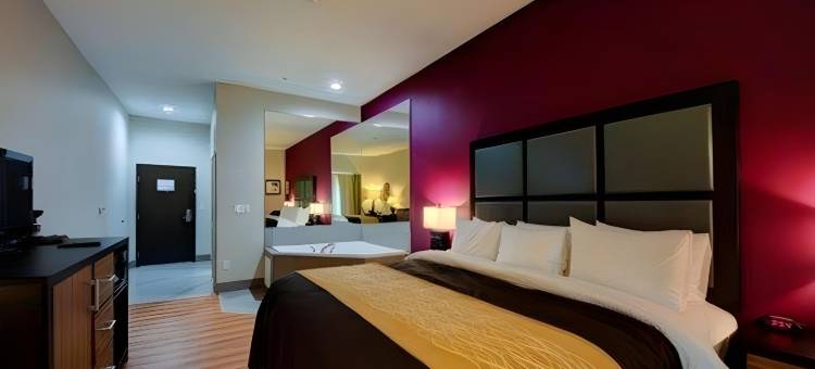 土萨I-44西-66号公路舒适套房酒店(Comfort Inn & Suites Tulsa I-44 West - Rt 66)图片